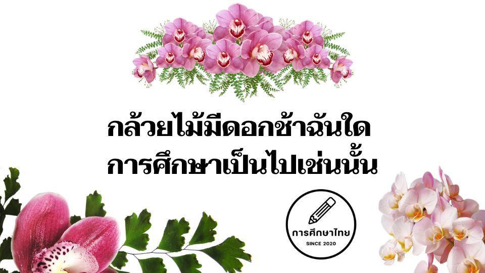 กล้วยไม้มีดอกช้าฉันใด กล้วยไม้มีดอกช้าฉันใด